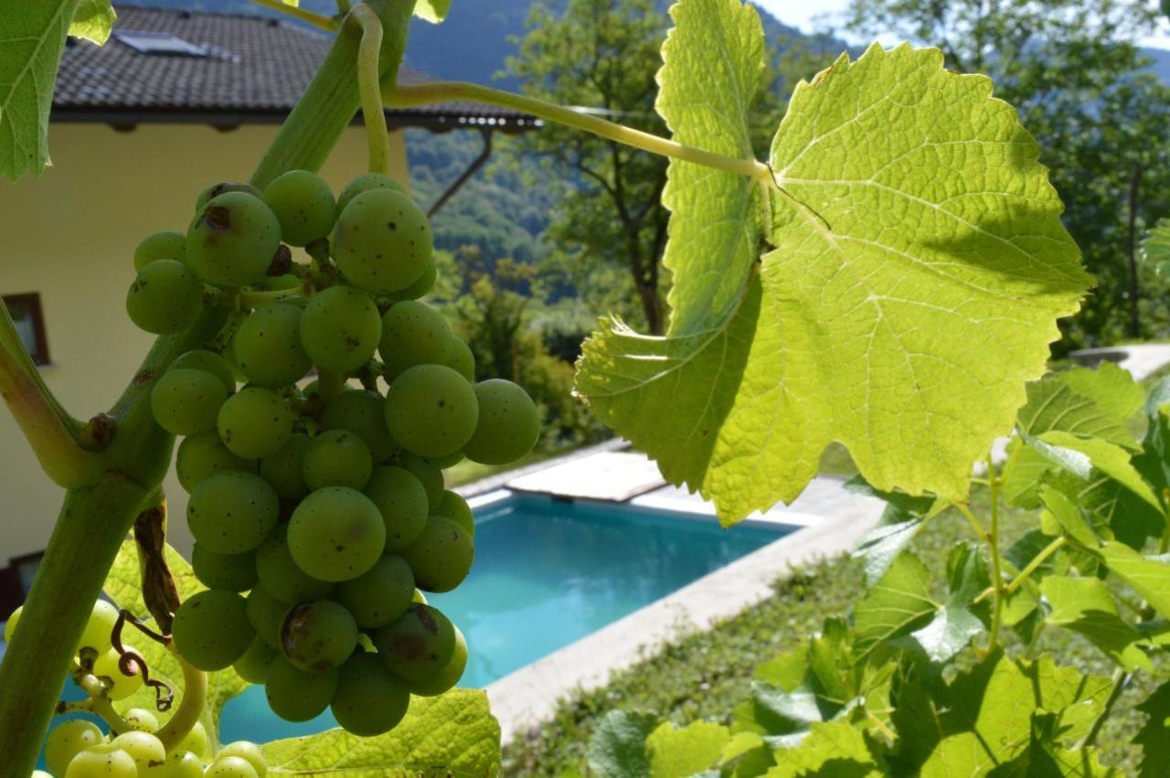 Holiday Home Jelovcerjeva Idrija pri Bači エクステリア 写真